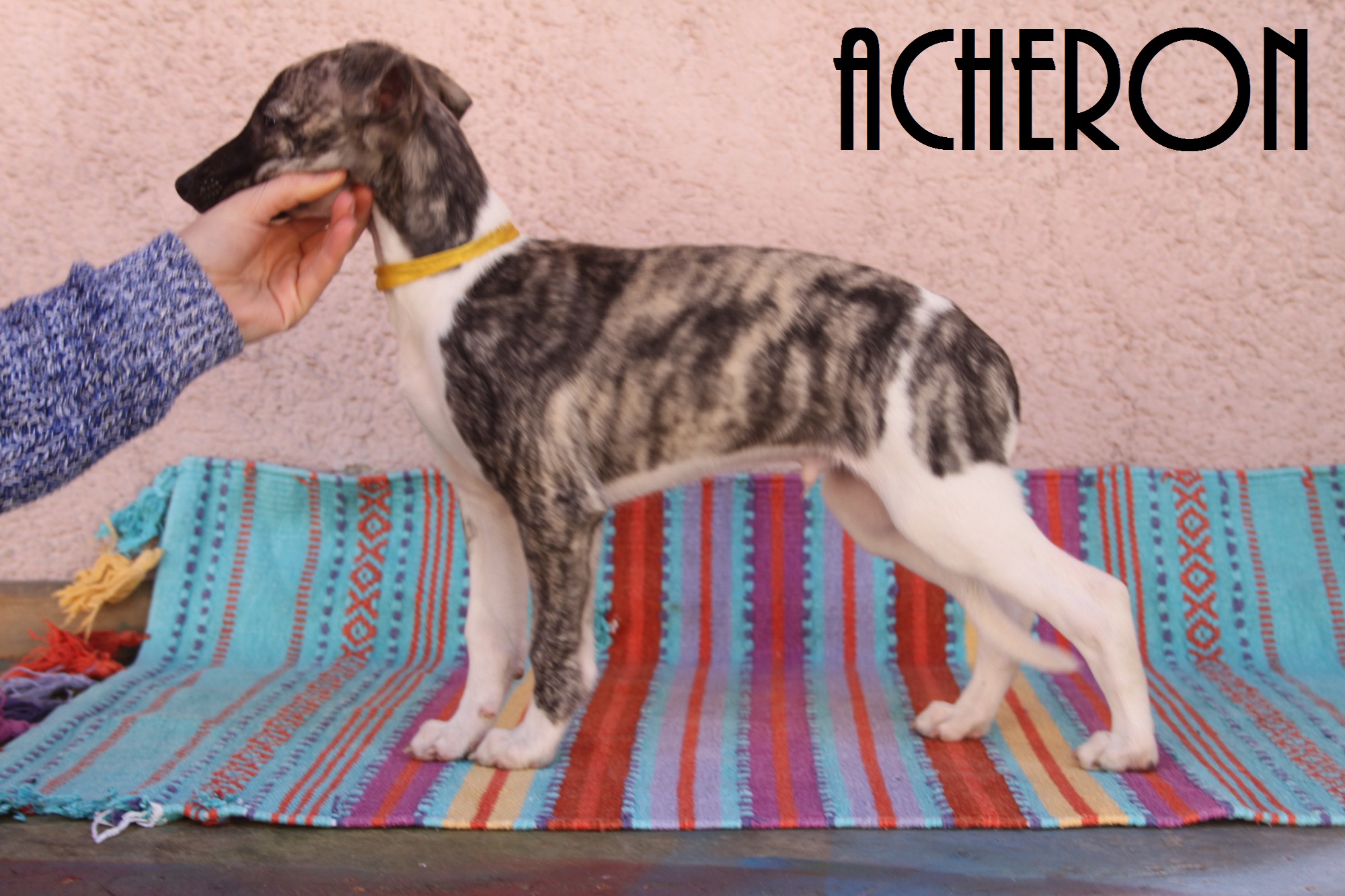 6. Acheron 1