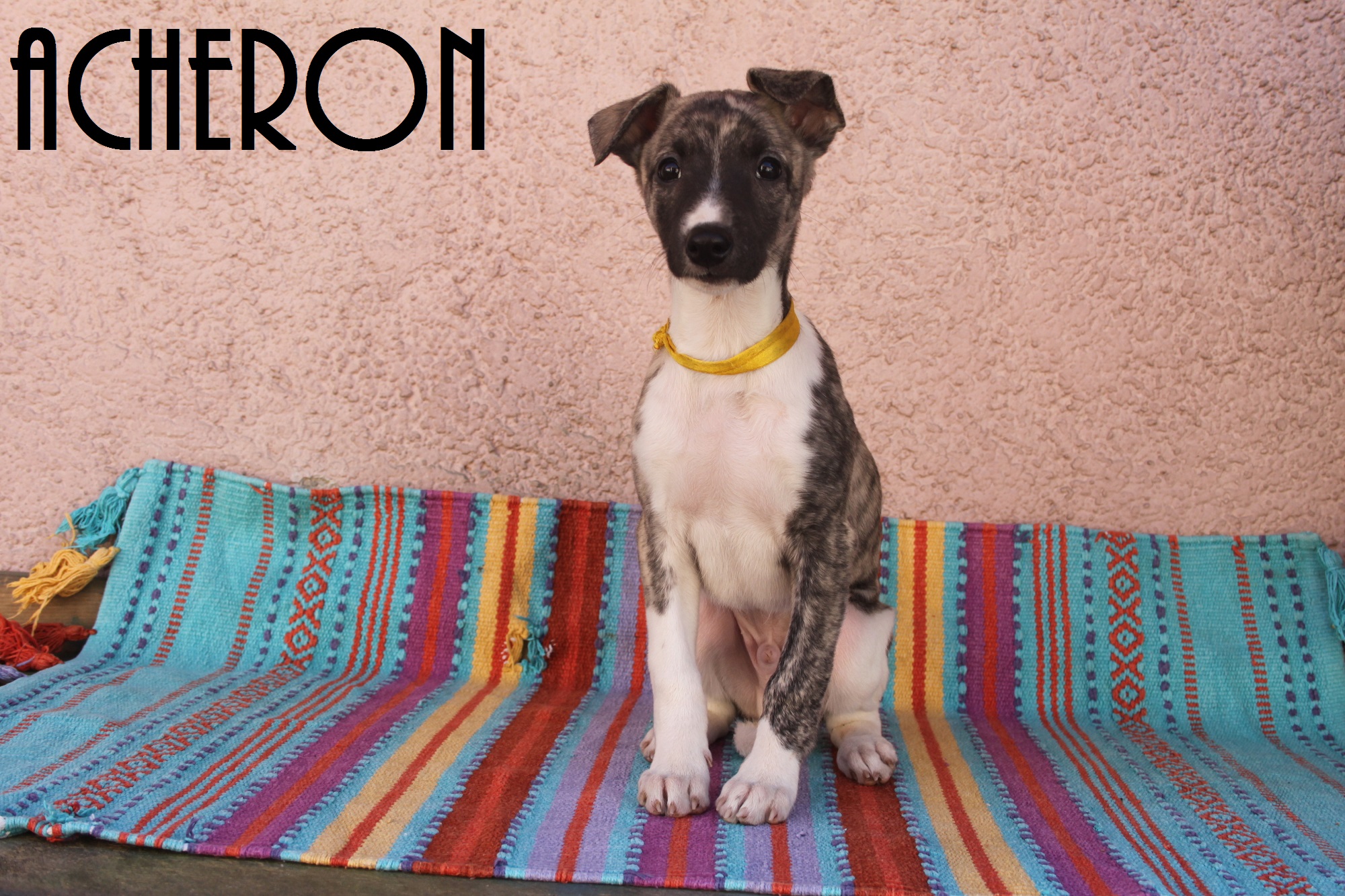 6. Acheron 3