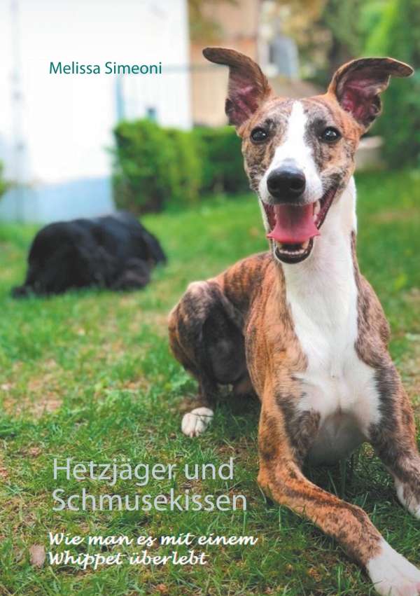 Buch vorne