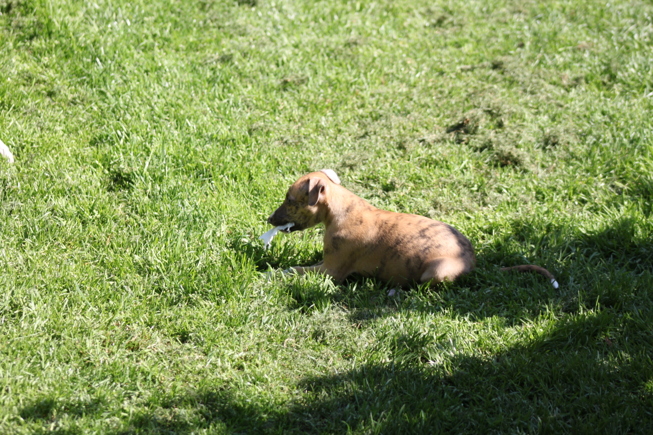 IMG_3837