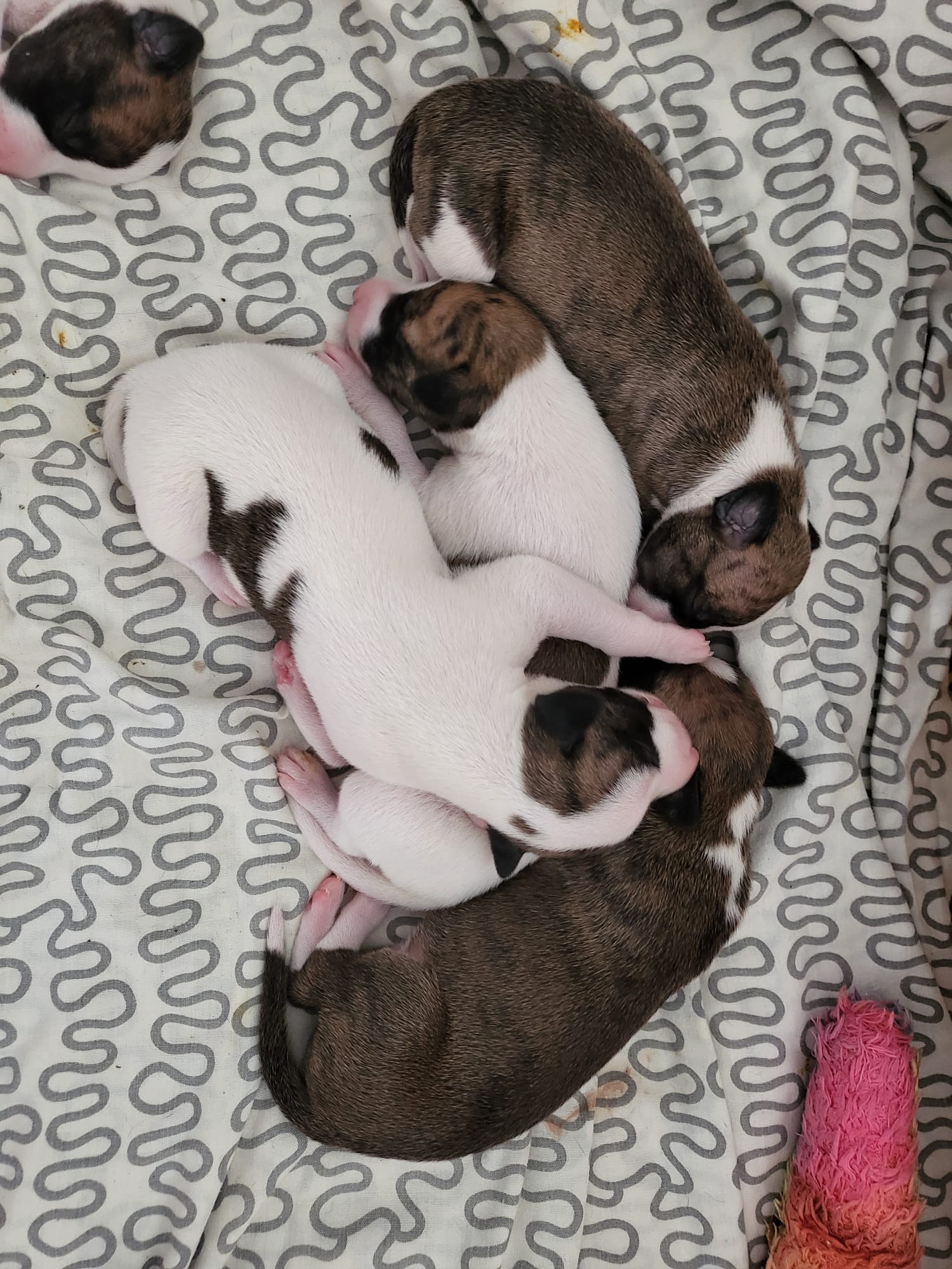 5