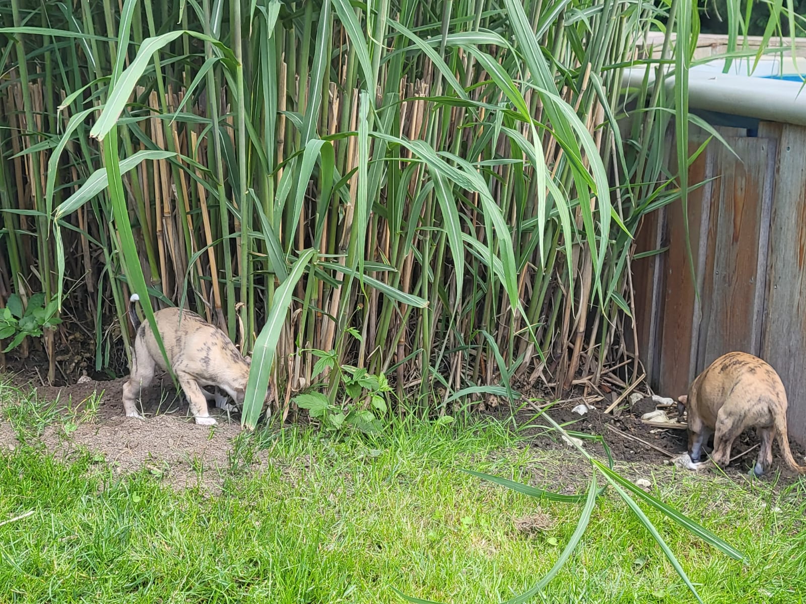 M-Wurf Woche 5 - allgemeines Foto 4