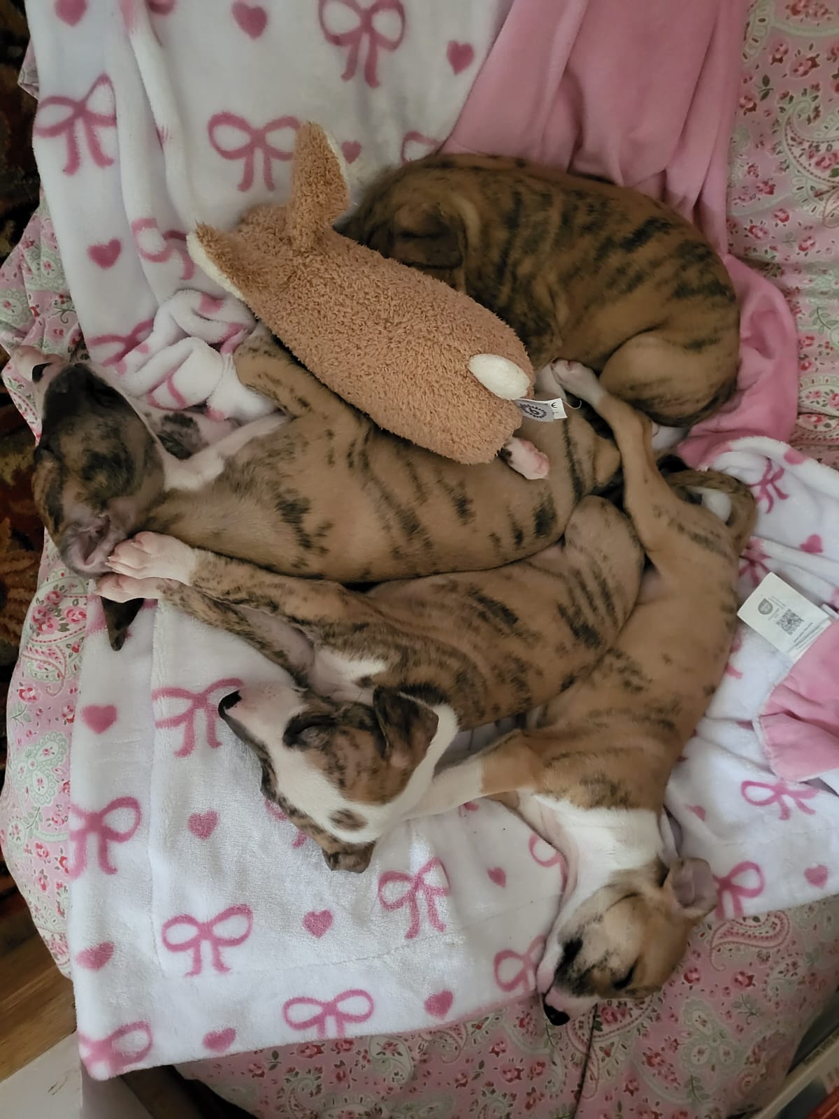 M-Wurf Woche 5 - allgemeines Foto 19