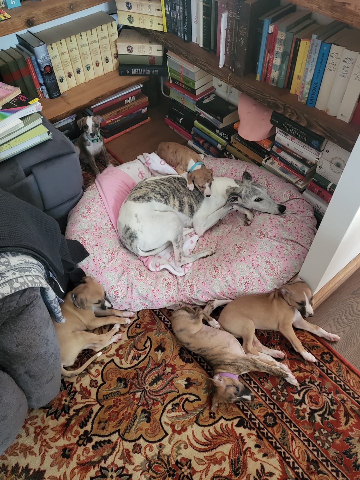 M-Wurf Woche 6 - allgemeines Foto 4