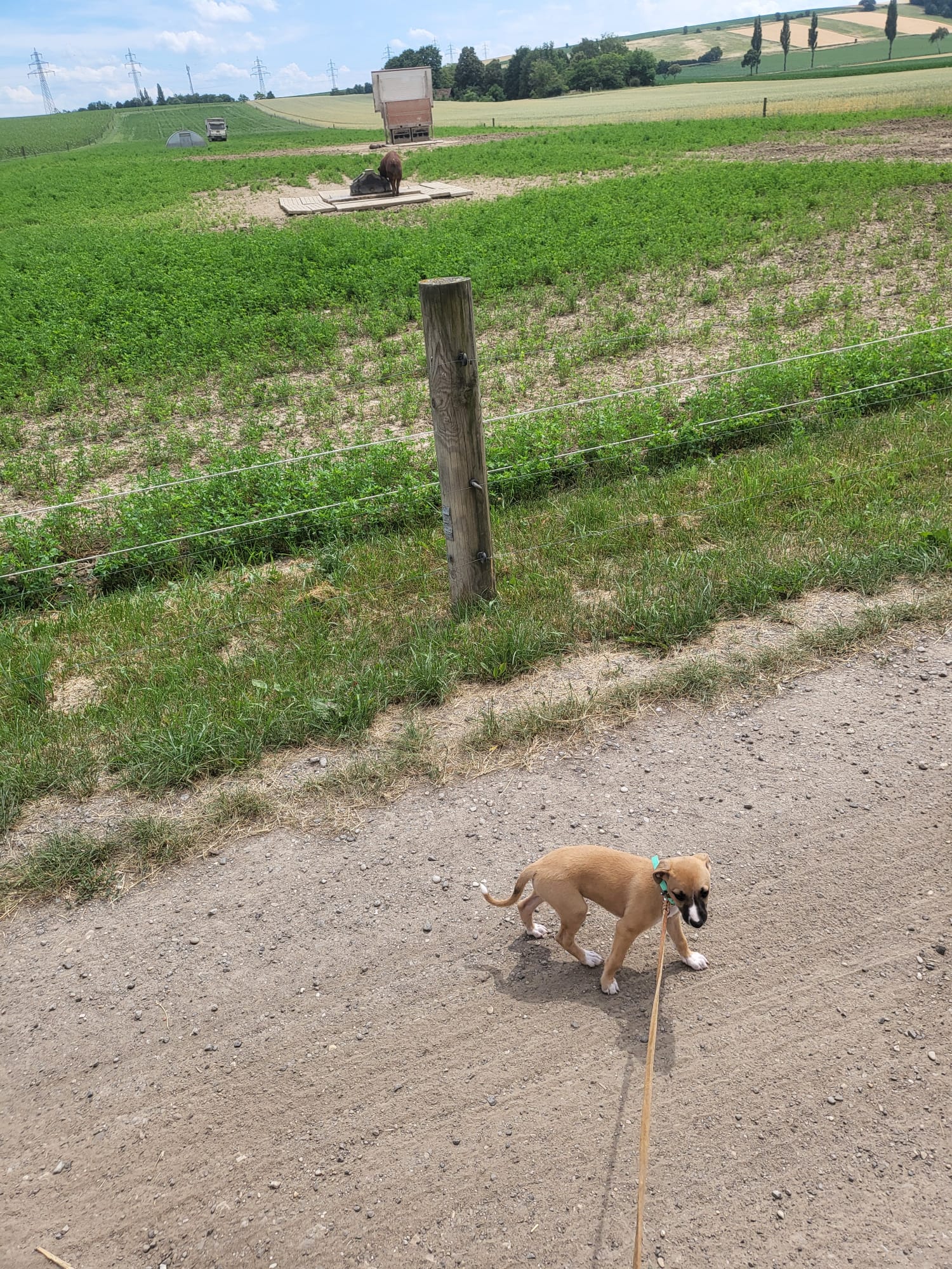 M-Wurf Woche 7 - allgemeines Foto 38