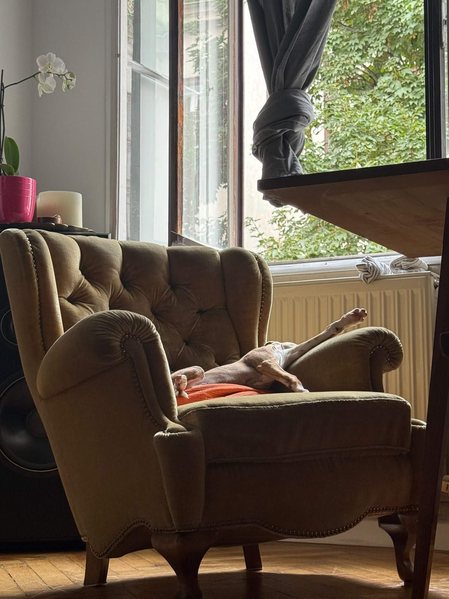 M-Wurf Woche 10 - Maduc Foto 3