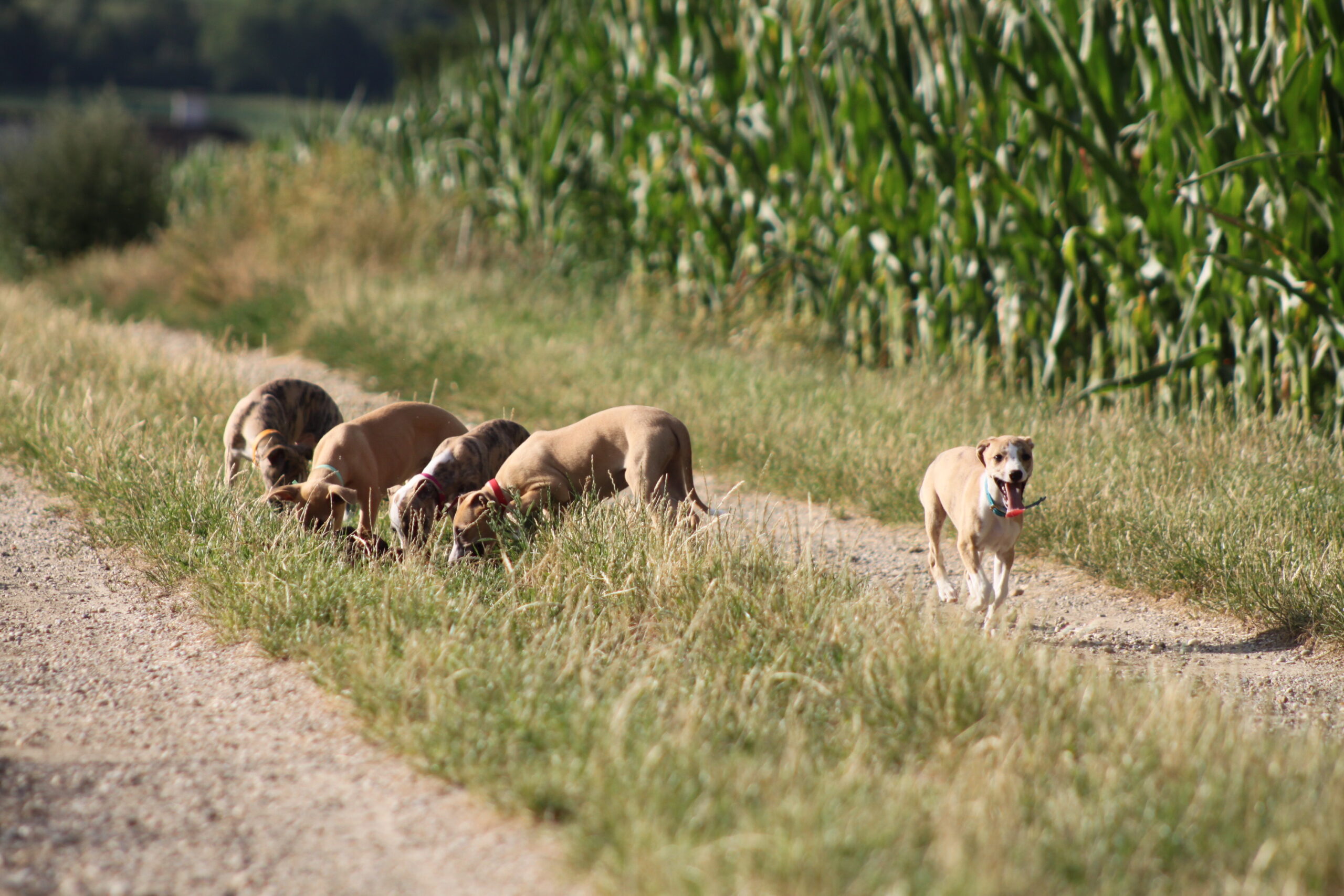 M-Wurf Woche 9 - allgemeines Foto 10