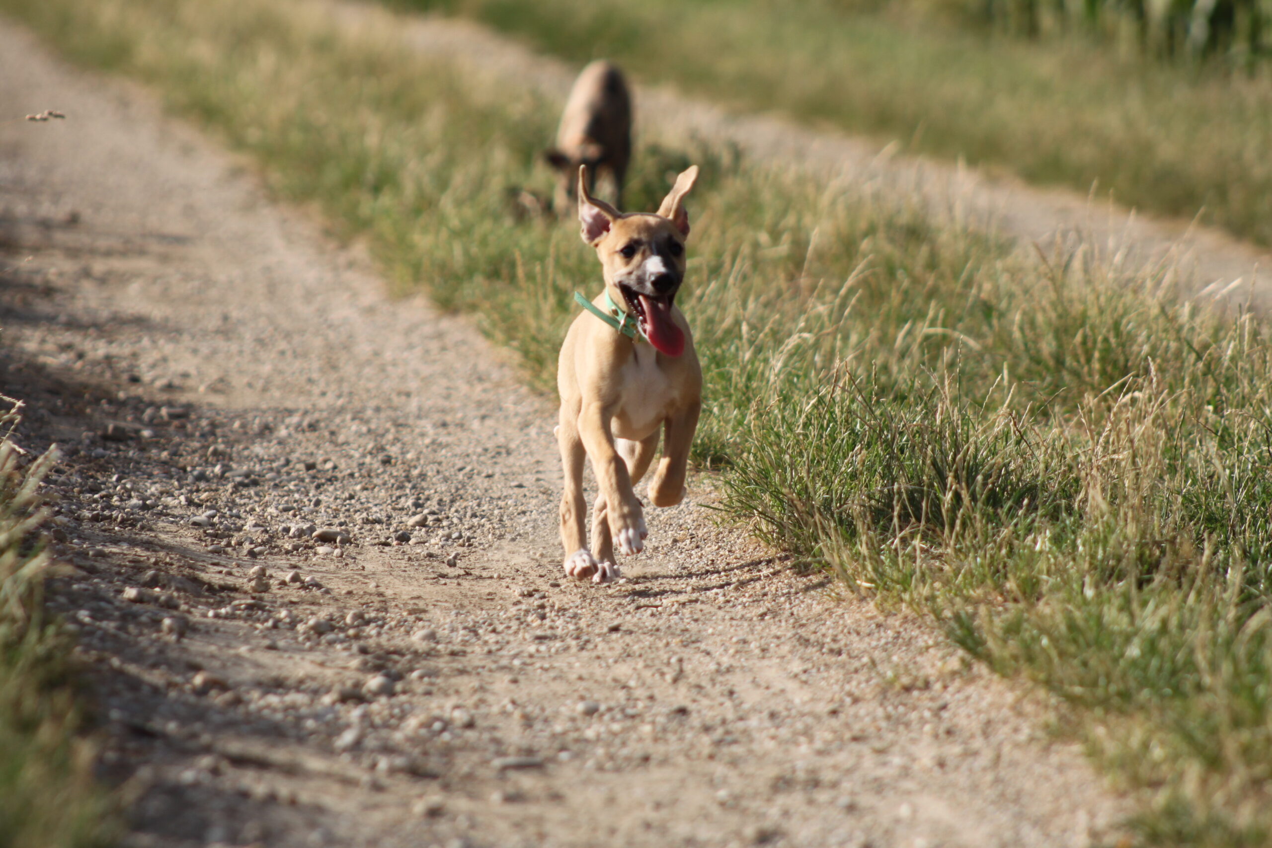M-Wurf Woche 9 - allgemeines Foto 12