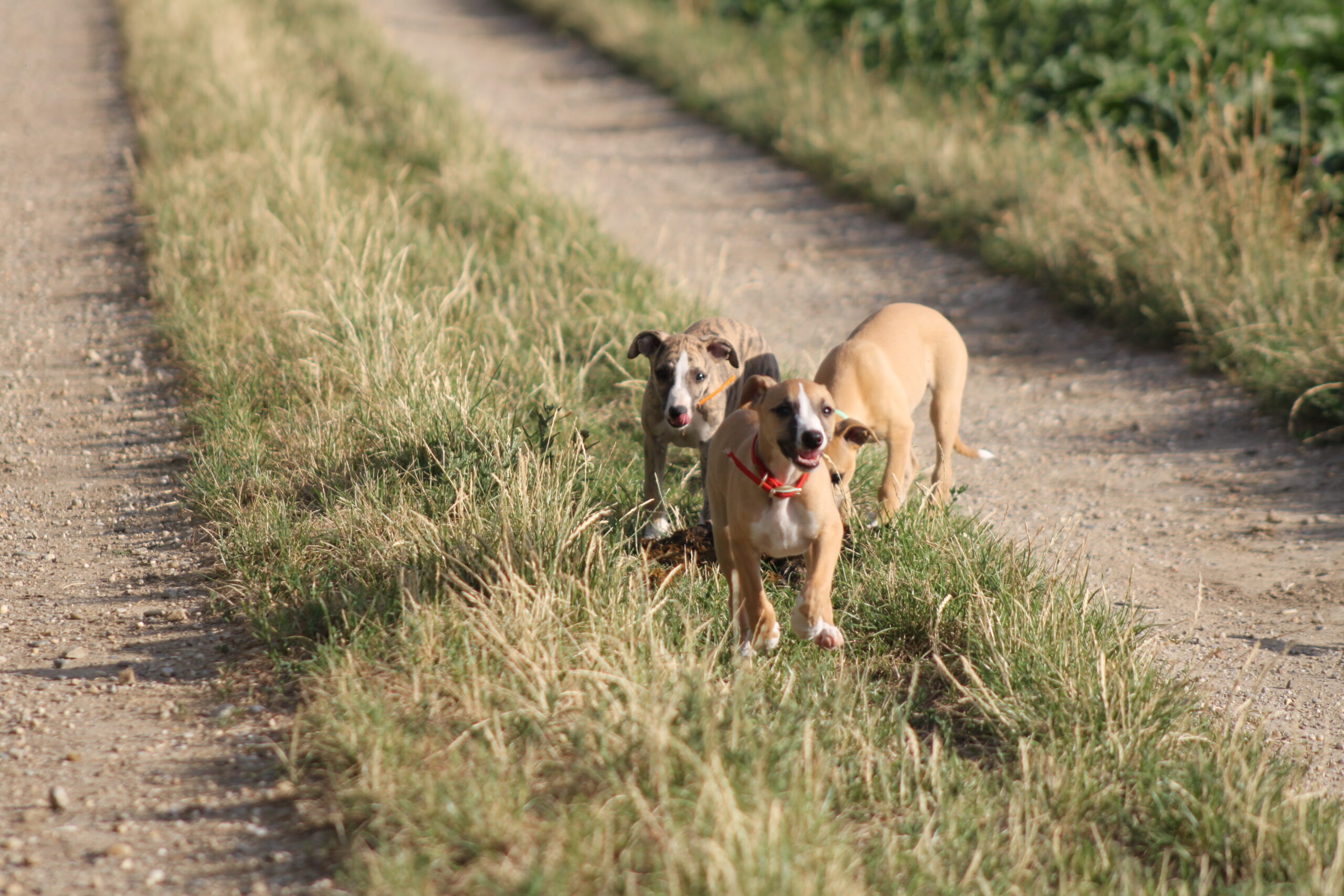 M-Wurf Woche 9 - allgemeines Foto 14