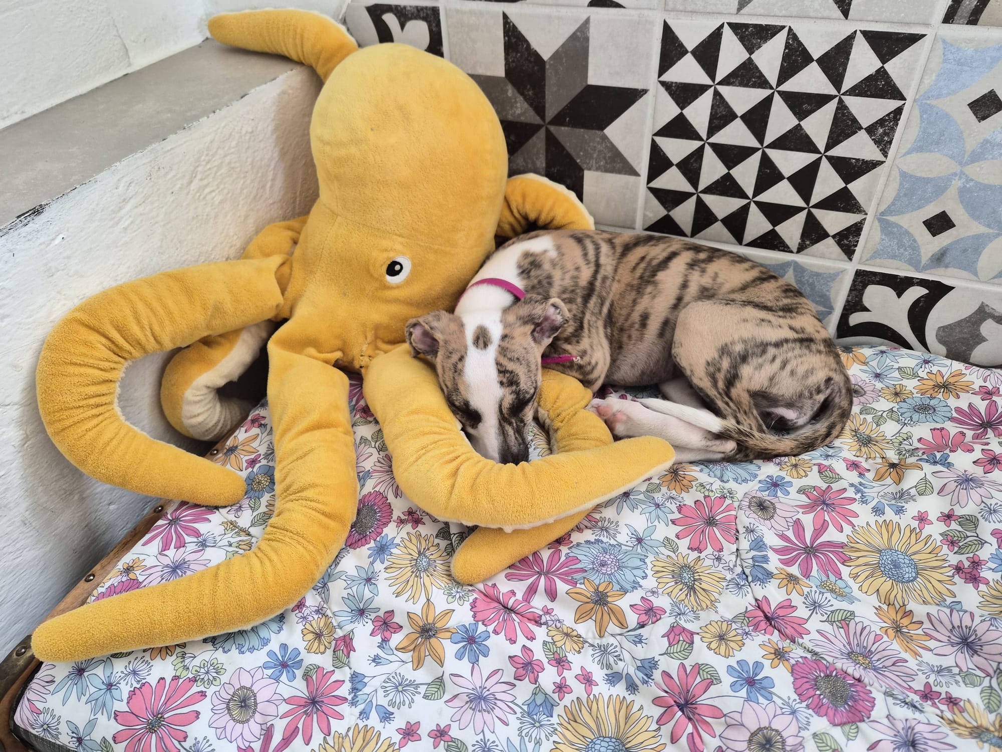 M-Wurf Woche 9 - allgemeines Foto 24