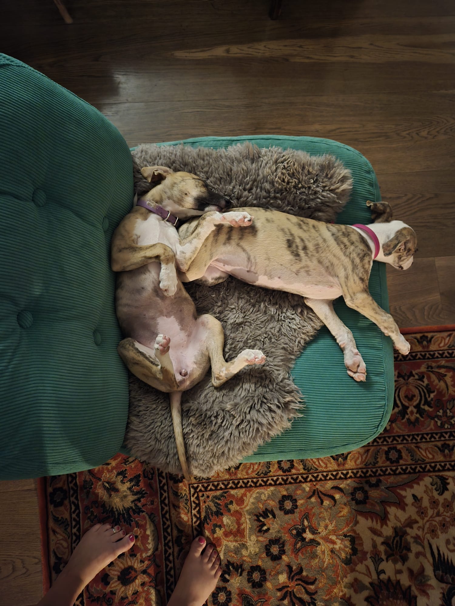 M-Wurf Woche 9 - allgemeines Foto 25