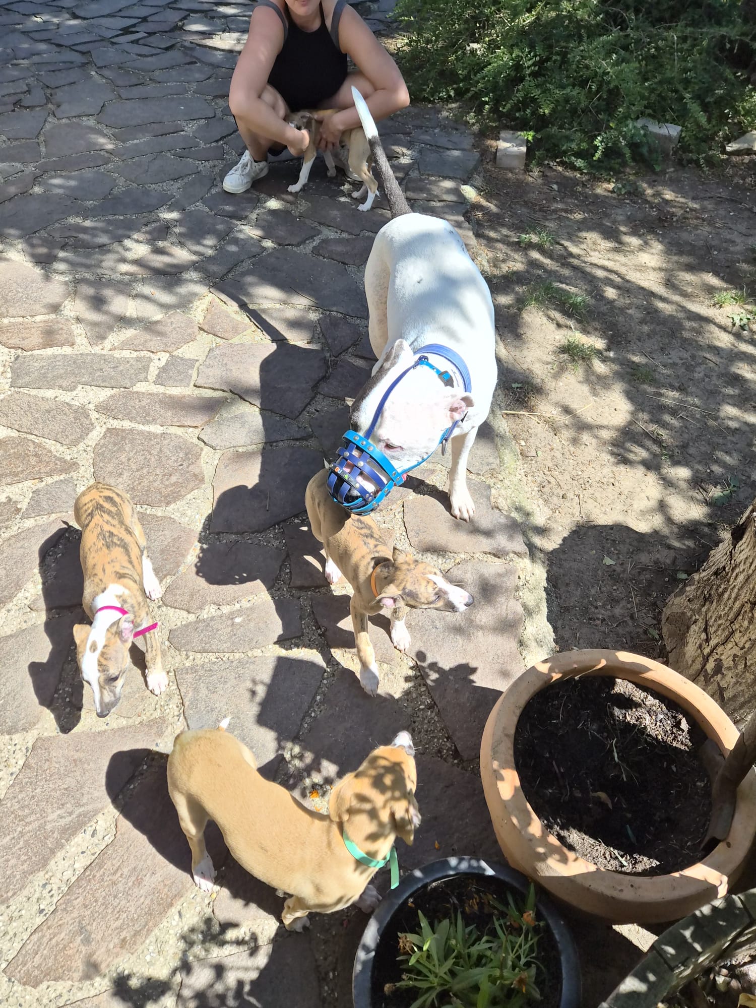 M-Wurf Woche 9 - allgemeines Foto 30