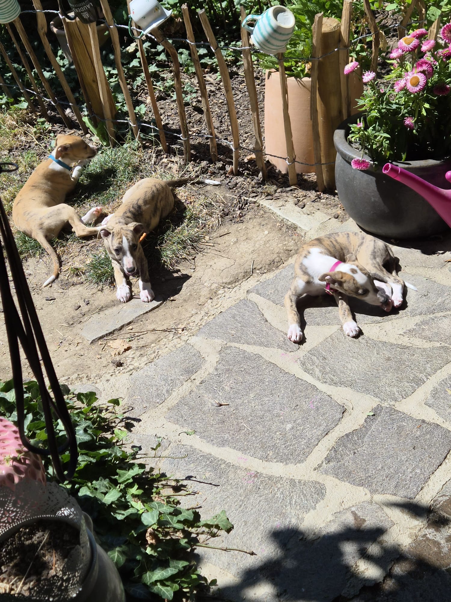 M-Wurf Woche 9 - allgemeines Foto 31