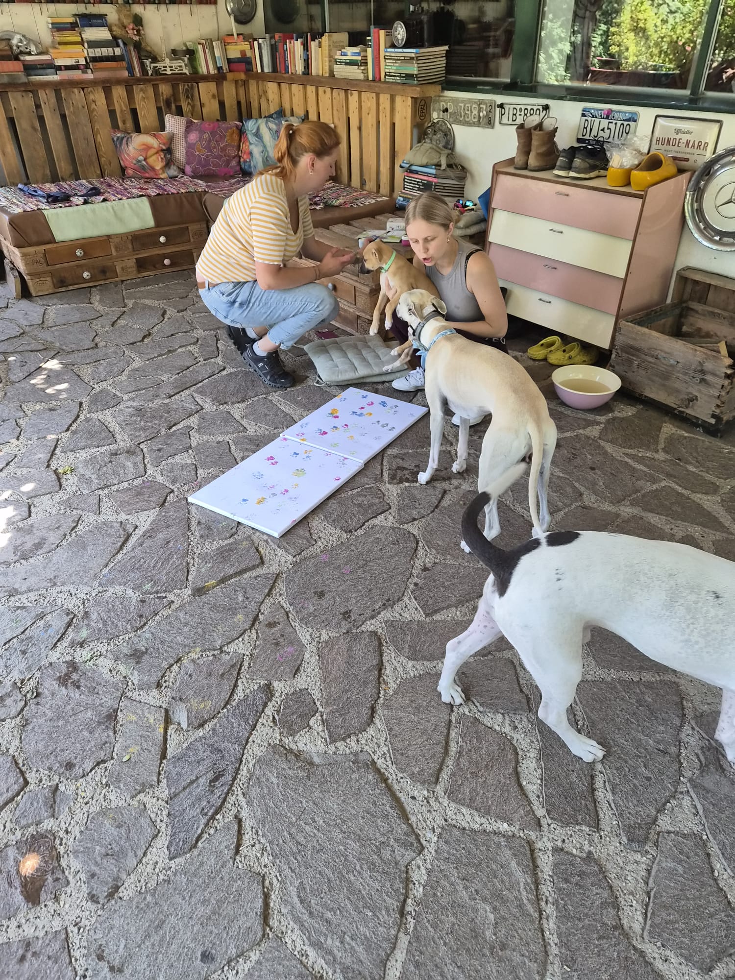 M-Wurf Woche 9 - allgemeines Foto 32