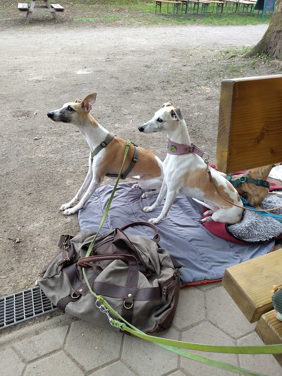 Iza - Foto 12